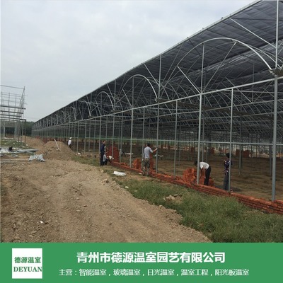 薄膜連棟溫室 花卉與蔬菜種植的經(jīng)濟(jì)選擇與造價解析