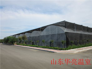 智能薄膜溫室 現(xiàn)代化農(nóng)業(yè)的優(yōu)選方案——以山東設計為例