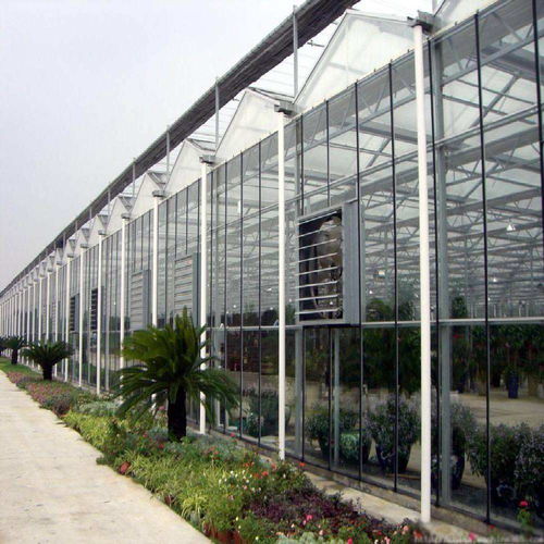 生態(tài)園餐廳建設中的關鍵一環(huán) 大棚薄膜的選擇與溫室造價解析