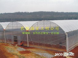 連棟薄膜溫室大棚 農程溫室設備的創新之作