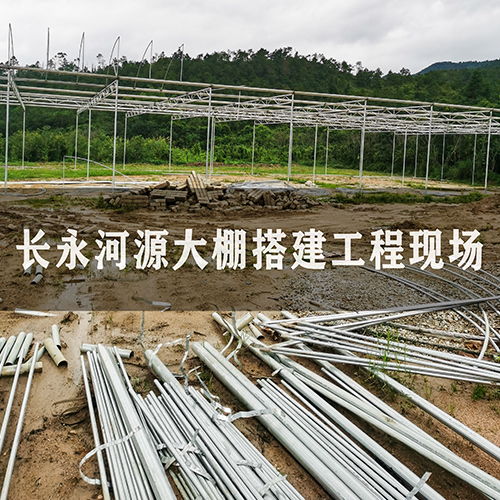 溫室建設指南 價格趨勢、廠家選擇與大棚薄膜應用